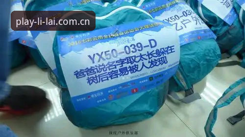 利来体育平台最新版本下载异常深度评测：问题根源与解决方案全解析